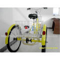 China Factory Pedal Assisted Cargo Tricycle (FP-TRB-J04)